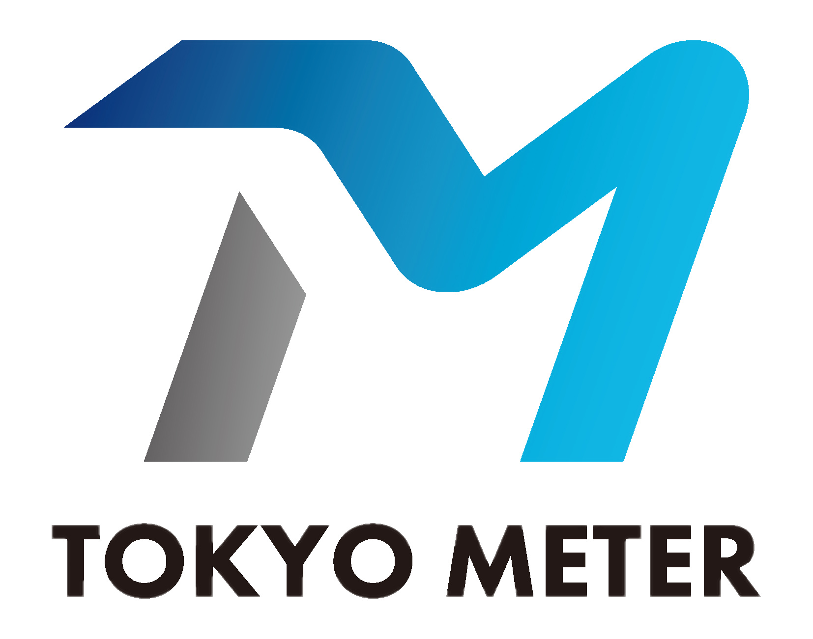 東京メータ株式会社 Tokyo Meter Co.,Ltd.