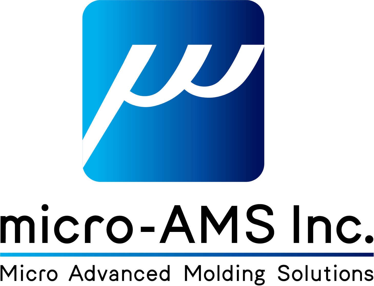 株式会社 micro-AMS micro-AMS Inc.